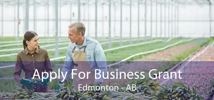 Apply For Business Grant Edmonton - AB